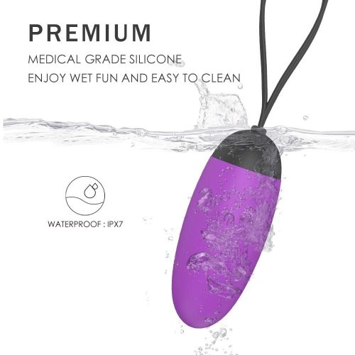 Aphrodisiac Couples Vibrator with Remote Control (Purple) Adult Luxury