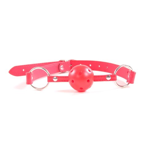 Couples Bondage Set ( Red) Adult Luxury