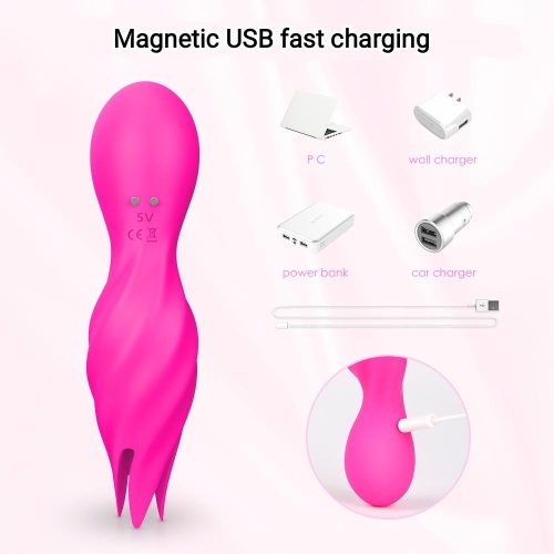 Foreplay Master Vibrator (Pink) Adult Luxury