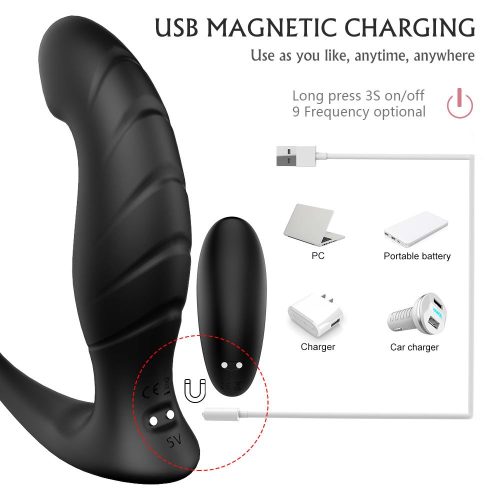 Pleasure Wave Prostate Massager Adult Luxury