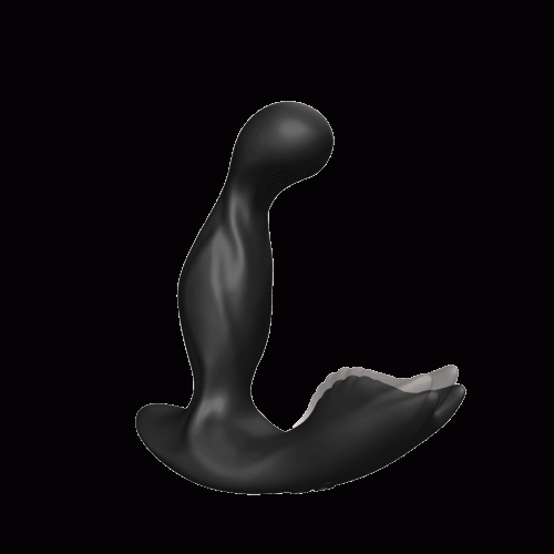 Remote Control Silent Prostate Massager Adult Luxury