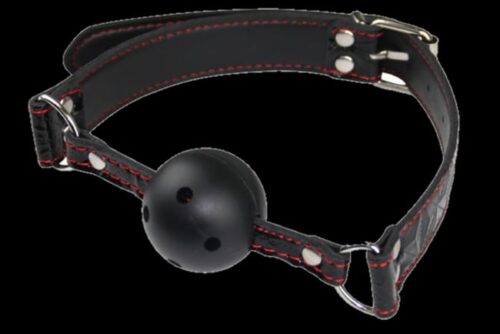 Bondage sex toy restraint